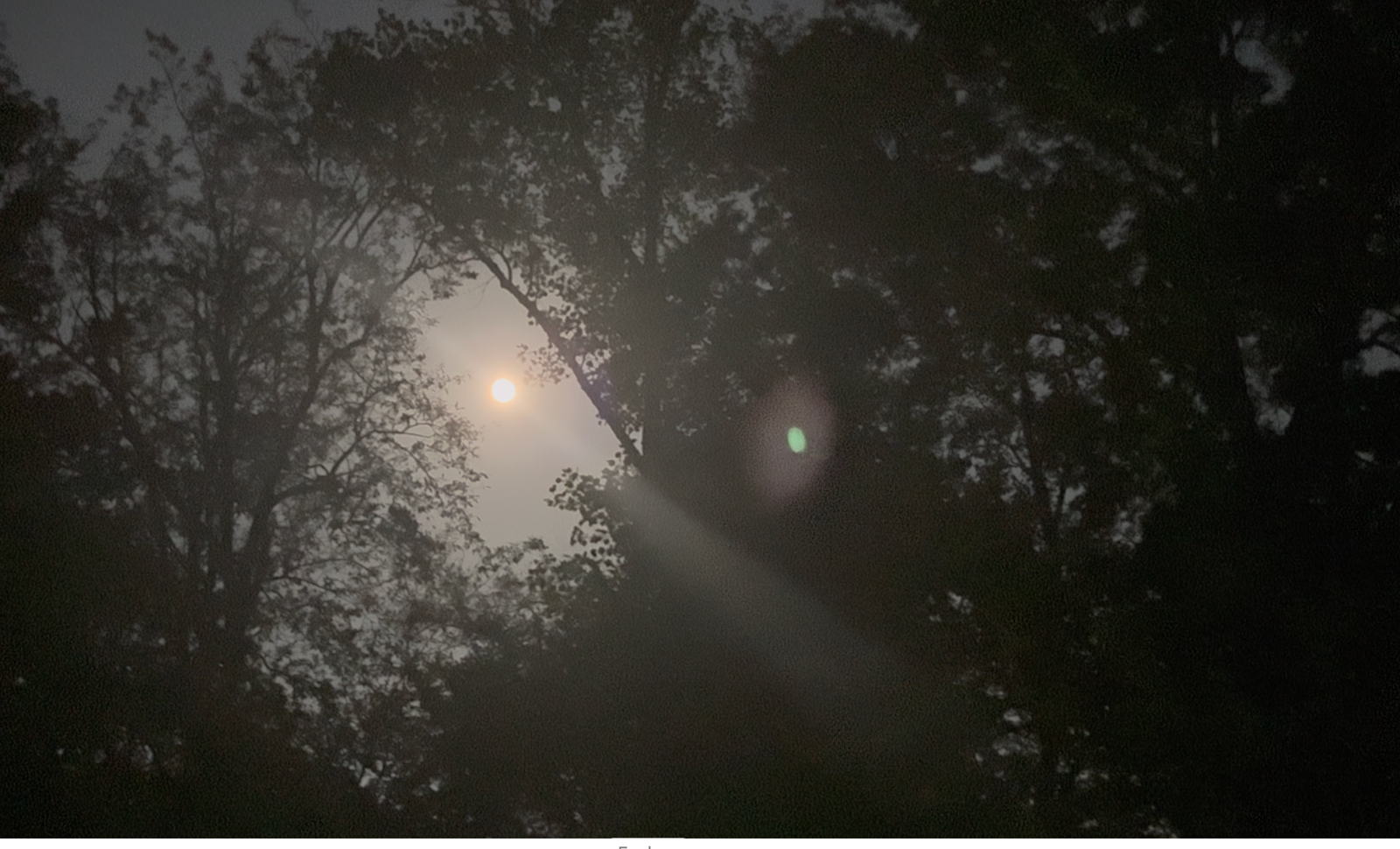 Christ is in the trees - Rev. Jodi Suson - Spiritual Photography part 2